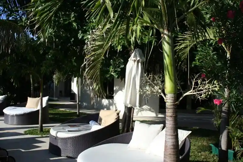 Couples seating on the grounds