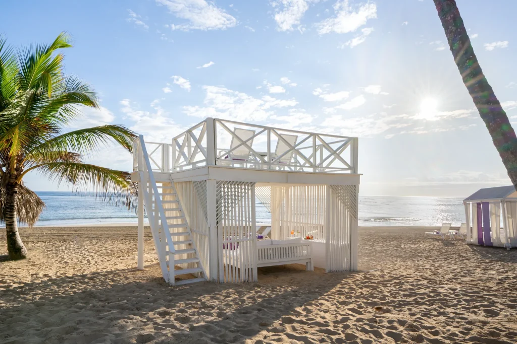 Beach oasis