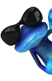 Meet Blue Meet Blue
