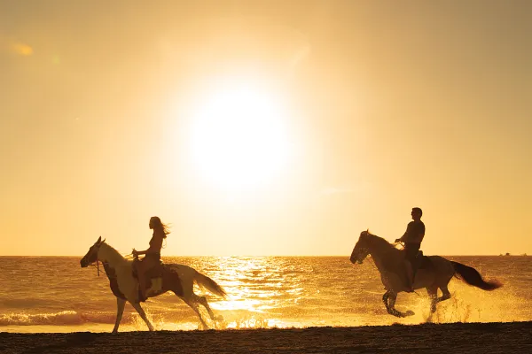 Couples horseback riding on the beach