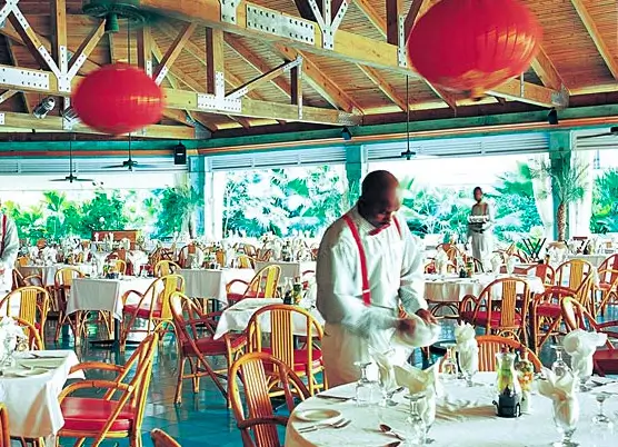Cassava Terrace
