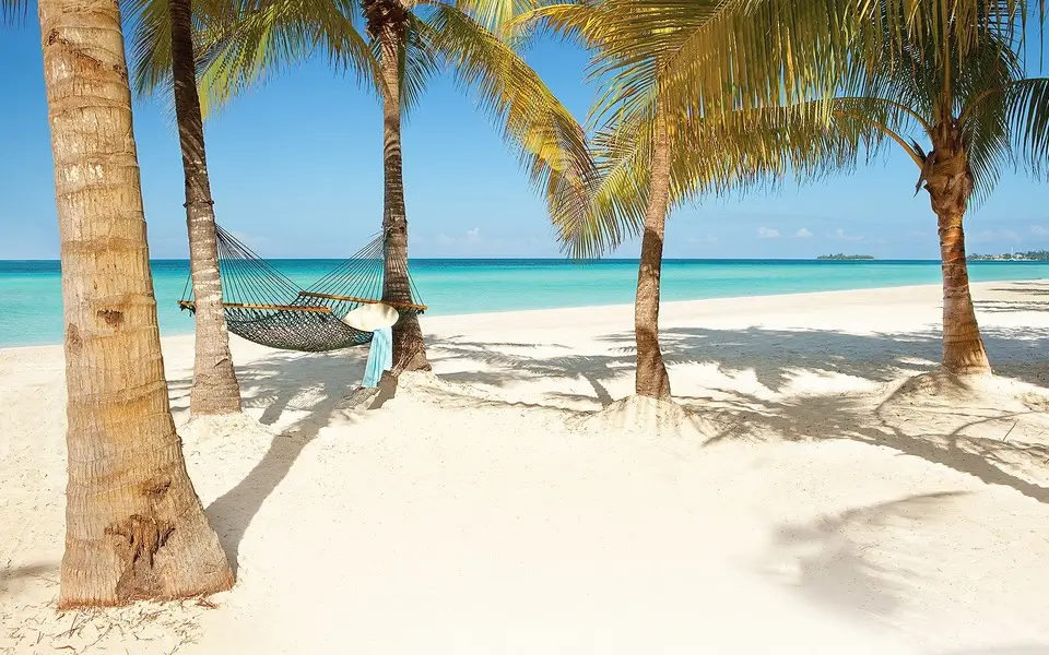 Hammock on the beach