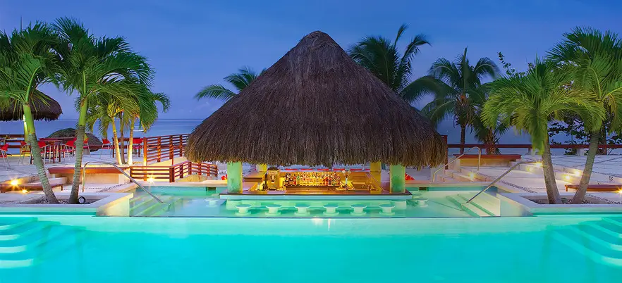 Swim-up tiki hut