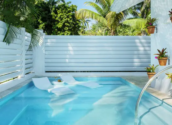 Spa Villa plunge pool