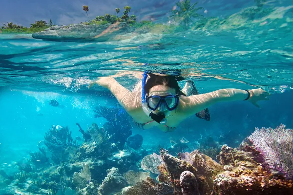 Snorkeling in the ocean